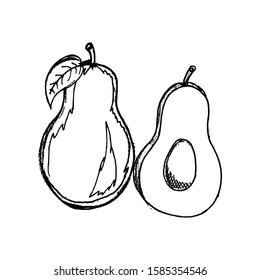 Avocado hand drawn sketch style in vector