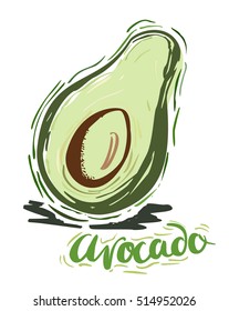 Avocado. Hand drawn sketch. Vector illustration.