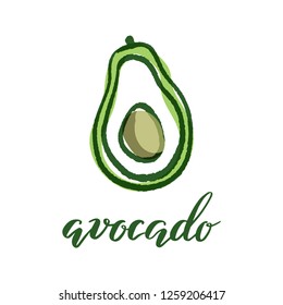 Avocado. Hand drawn vector illustration.