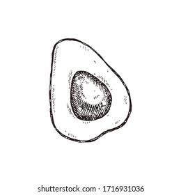 Avocado handgezeichnete Vektorillustration, einzeln auf Weiß