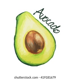 Avocado. Hand drawn watercolor painting. Vector illustration.