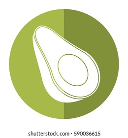 avocado harvest nutrition icon shadow