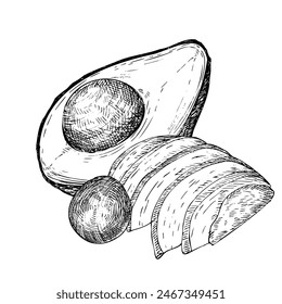 Avocado hass graphic vector illustration, hand drawn sketch of vegetable,sliced avocado. Botanical drawing of tropical fruit. Engraving for food packaging design. Plant sketch