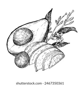 Avocado hat grafische Vektorillustration, handgezeichnete Skizze von Gemüse, geschnittene Avocado, Blumen. In: Botanical Drawing of Tropical Fruit. Gravur für Lebensmittelverpackungsdesign. 