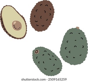 Avocado, a high fiber food