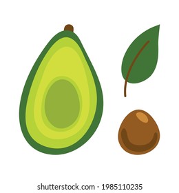 Avocado icon. Flat illustration of avocado vector icon isolated on white background.