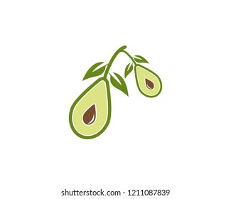 Avocado Icon Logo Vector Template