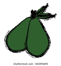 avocado icon and vector