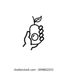 avocado icons symbol vector elements for infographic web