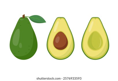 Avocado icons. Whole and half green avocado. Tropical avocadoes plant icon. Organic healthy vegetarian food. Vector illustration isolated on white background.