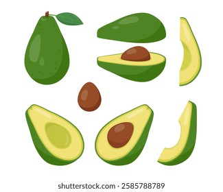 Avocado icons. Whole, half and slices of green fruit avocado. Tropical avocadoes plant icon. Organic healthy vegetarian food. Vector illustration isolated on white background.