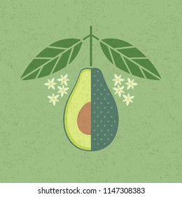 Avocado illustration. Cut avocado with leaves and flowers on shabby background. Symmetrical flat composition. Shabby style.