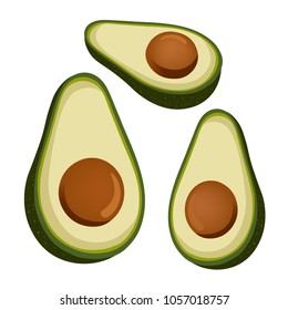 Avocado illustration EPS 10. Set avocado isolated on white background.