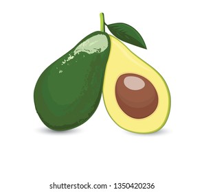 Avocado illustration half