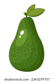 avocado illustration isolated on white background