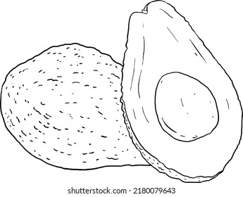 Avocado illustration. Perfect for practicing coloring, drawing, printing, wallpaper, prints, cards, etc.
