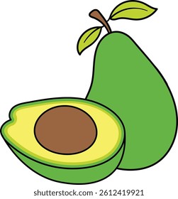 Avocado illustration with pit and whole fruit with leaves