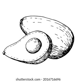 Avocado illustration for printing on fabric and vegan food packaging.  Texture for ecological and healthy food. Health products. Hand drawn black and white illustration. Handwritten graphics technique