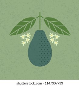 Avocado illustration. Ripe avocado with leaves and flowers on shabby background. Symmetrical flat composition. Shabby style.