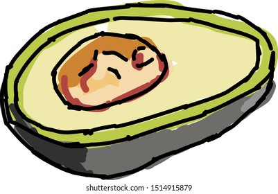 Avocado, illustration, vector on white background.