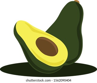 Avocado, illustration, vector on white background.