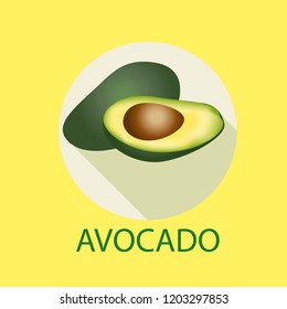 avocado isolated icon on yellow background with text. vector illustration