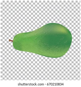 Avocado - isolated on a transparent background, realistic - art creative modern Vector illustration