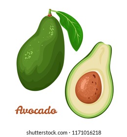 Avocado isolated on white background. Whole avocado and half with core and leaf. Vector illustration in a flat style.