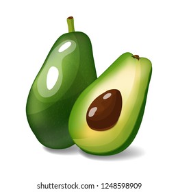 Avocado isolated on white background. Avocado whole and a half vector illustration
