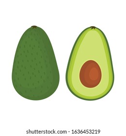 Avocado isolated on a white background. Vector illustration