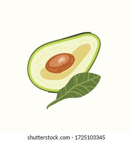 Avocado isolated on a white background. Hand draw cartoon Scandinavian nordic design style for fashion or interior or cover or textile or background.