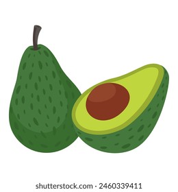Avocado isolated on white background, vector illustration