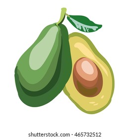 Avocado isolated on white background. Organic food vector.