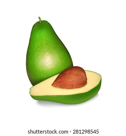 Avocado isolated on white. High quality vector. EPS10 vector