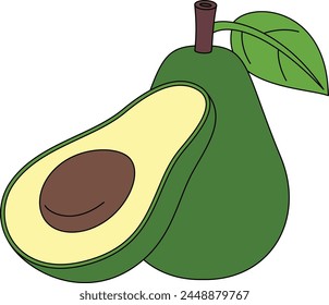 Avocado Isolated Vector Illustration Hand Drawn 