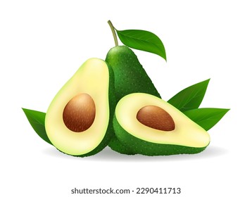 Avocado isolted. Avocados appetizer for snacks guacamole package design, vector whole half fresh alpocado fruits on white