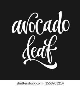 Avocado leaf - white colored hand drawn spice label. Isolated calligraphy script style word. Vector lettering design element.