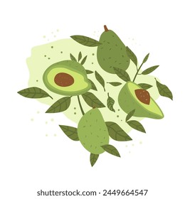 Aguacate con composición de hojas aisladas sobre fondo blanco. Aguacate entero y partido por la mitad y ramas verdes. Vector plano dibujado a mano ilustración