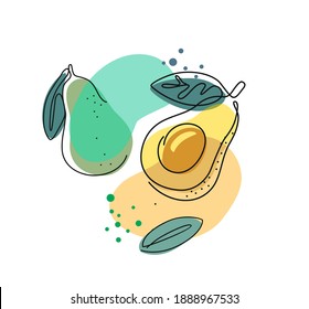 avocado with leaves in outline