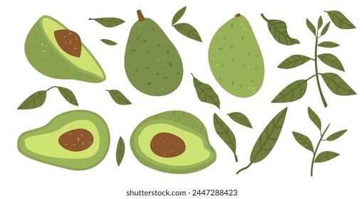 Avocado with leaves set isolated on white background. Whole and halved avocado and greens. Vector flat hand drawn illustration