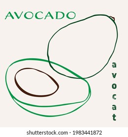 Avocado line art hand-drawn multicolor modern vector illustration. Colorful line art exotic fruit design.