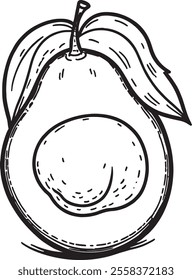Avocado line art vector on white background.
