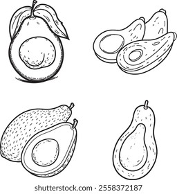 Avocado line art vector on white background.