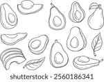 Avocado line art vector set. Whole avocado, halves of avocado and leaves. Hand drawn botanical elements isolated on a white background.  Avocado illustrations in doodle style