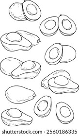 Avocado line art vector set. Whole avocado, halves of avocado . Hand drawn botanical elements isolated on a white background.  Avocado illustrations in doodle style