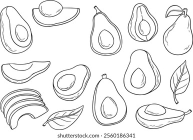 Avocado line art vector set. Whole avocado, halves of avocado and leaves. Hand drawn botanical elements isolated on a white background.  Avocado illustrations in doodle style