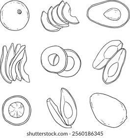 Avocado line art vector set. Whole avocado, halves of avocado . Hand drawn botanical elements isolated on a white background.  Avocado illustrations in doodle style