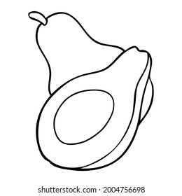 avocado line vector illustration,
isolated on white background.top view