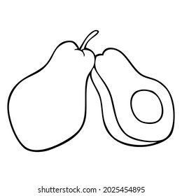 avocado line vector illustration,isolated on white background,top view