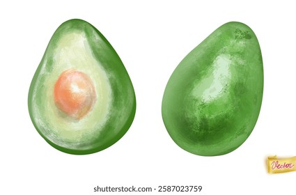 Avocado made in watercolour style isolated. Vector healthy food. Antioxidant super food picture